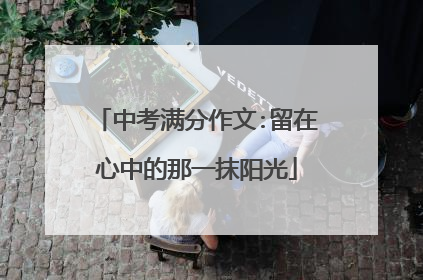 中考满分作文:留在心中的那一抹阳光