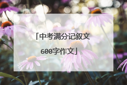 中考满分记叙文600字作文