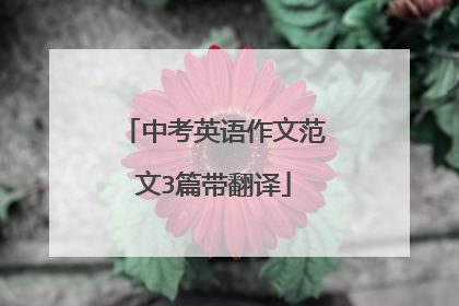 中考英语作文范文3篇带翻译