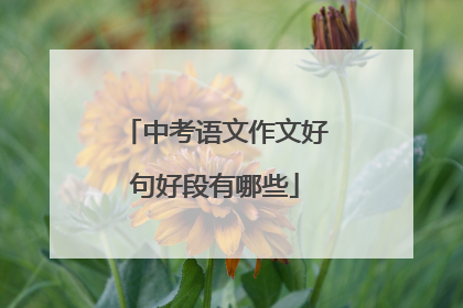 中考语文作文好句好段有哪些