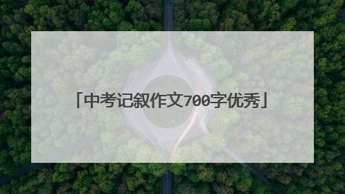 中考记叙作文700字优秀