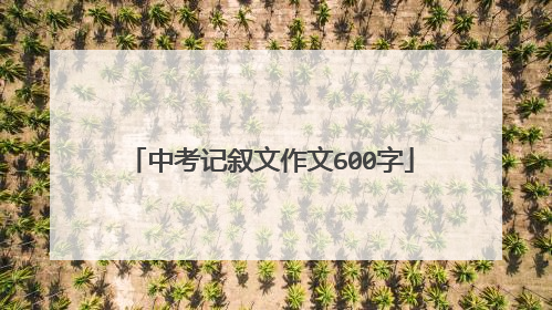 中考记叙文作文600字