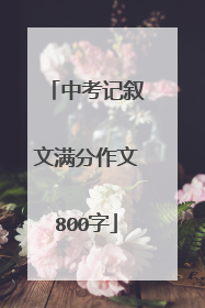 中考记叙文满分作文800字