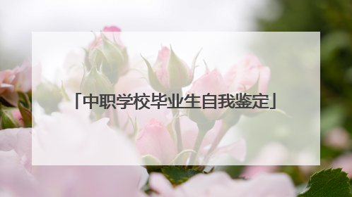 中职学校毕业生自我鉴定