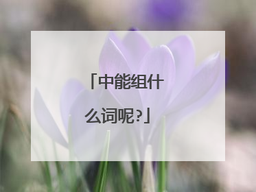 中能组什么词呢?