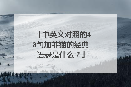 中英文对照的40句加菲猫的经典语录是什么？