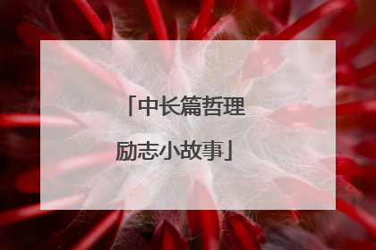 中长篇哲理励志小故事