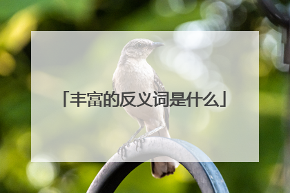 丰富的反义词是什么