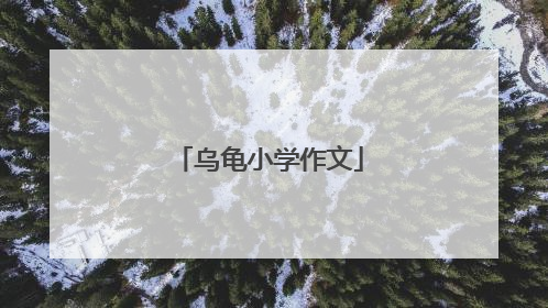 乌龟小学作文