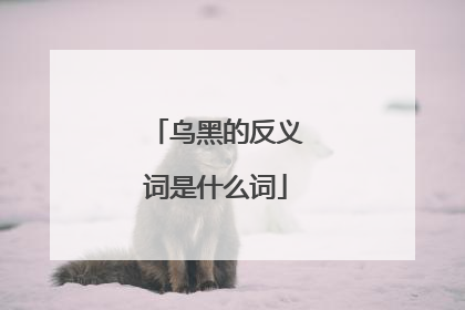 乌黑的反义词是什么词