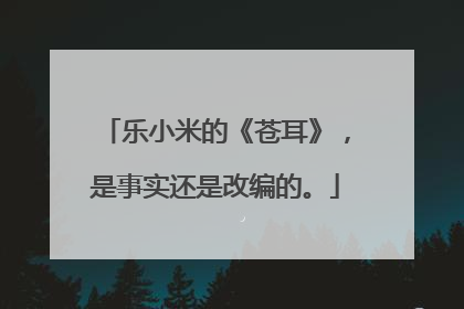 乐小米的《苍耳》，是事实还是改编的。