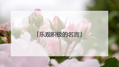 乐观积极的名言