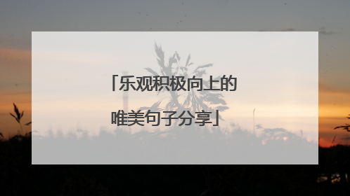 乐观积极向上的唯美句子分享