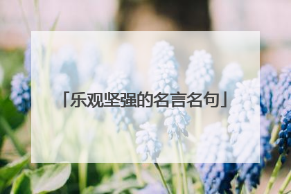 乐观坚强的名言名句