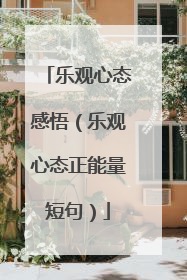 乐观心态感悟（乐观心态正能量短句）