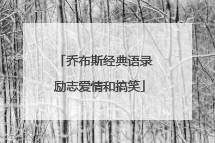 乔布斯经典语录励志爱情和搞笑