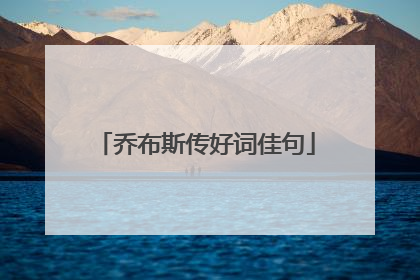 乔布斯传好词佳句