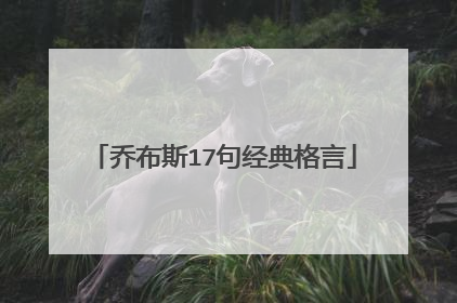 乔布斯17句经典格言