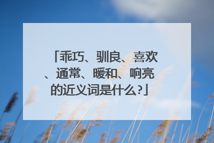 乖巧、驯良、喜欢、通常、暖和、响亮的近义词是什么?