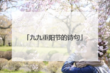 九九重阳节的诗句