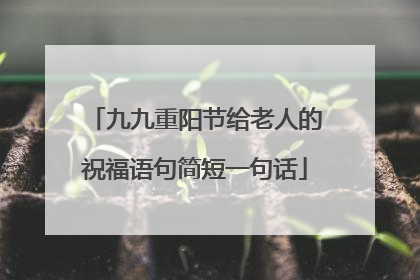 九九重阳节给老人的祝福语句简短一句话