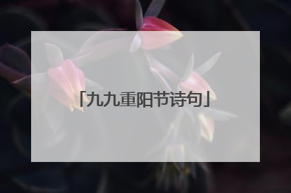 九九重阳节诗句