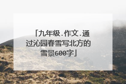 九年级.作文.通过沁园春雪写北方的雪景600字