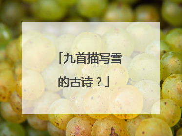 九首描写雪的古诗?