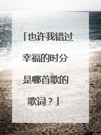 也许我错过 幸福的时分 是哪首歌的歌词？