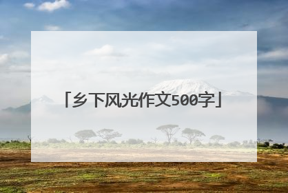 乡下风光作文500字