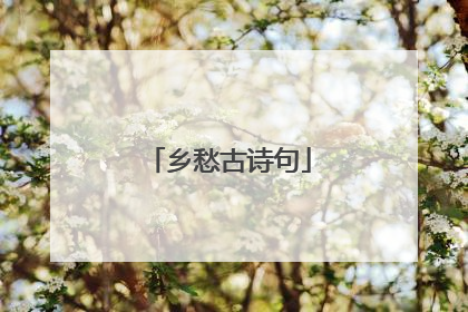 乡愁古诗句