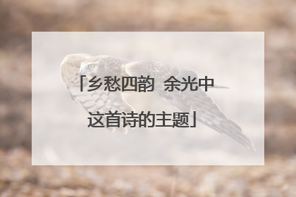 乡愁四韵 余光中 这首诗的主题