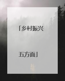 乡村振兴五方面