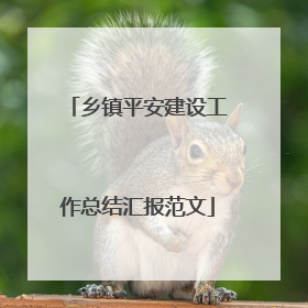 乡镇平安建设工作总结汇报范文