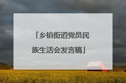 乡镇街道党员民族生活会发言稿