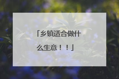 乡镇适合做什么生意!!