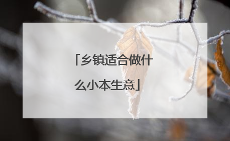 乡镇适合做什么小本生意