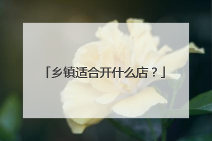 乡镇适合开什么店？
