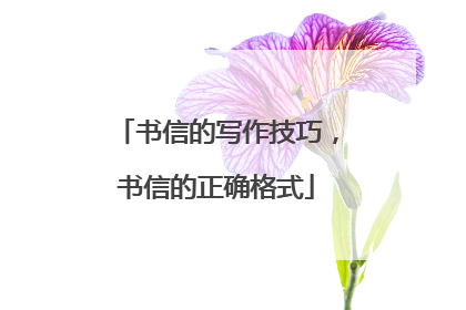 书信的写作技巧,书信的正确格式