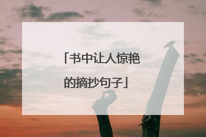 书中让人惊艳的摘抄句子