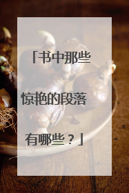 书中那些惊艳的段落有哪些?