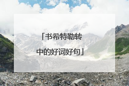 书希特勒转 中的好词好句