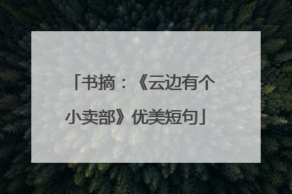 书摘:《云边有个小卖部》优美短句