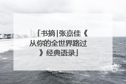 书摘|张嘉佳《从你的全世界路过》经典语录