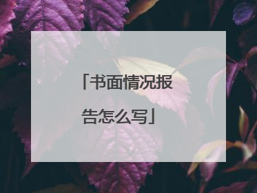 书面情况报告怎么写