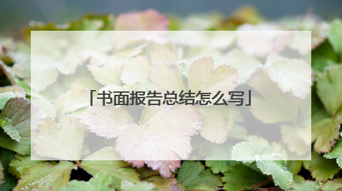 书面报告总结怎么写