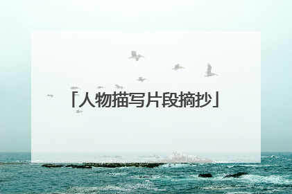 人物描写片段摘抄