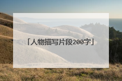人物描写片段200字