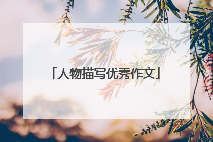 人物描写优秀作文