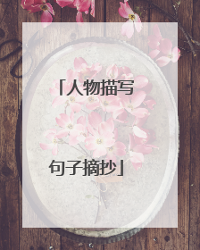 人物描写句子摘抄